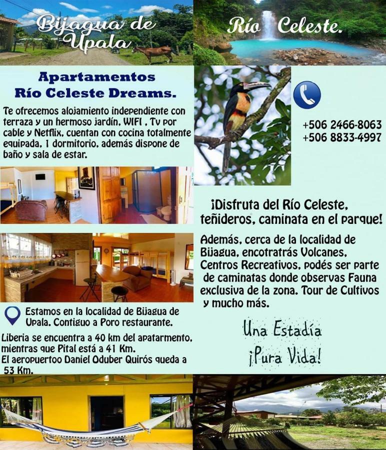 ביחגואה Xxx Blue Paradise - Rio Celeste Dreams מראה חיצוני תמונה
